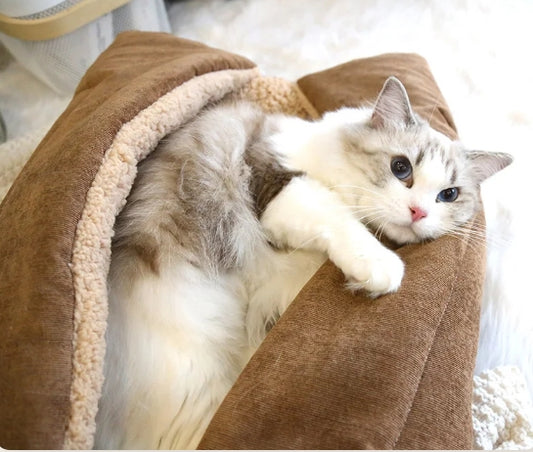 Cama Aconchegante Dobrável Para Gatos