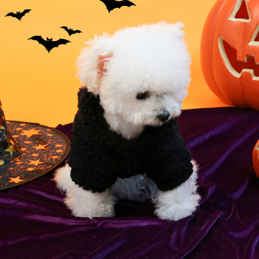 Sweater Pelinhos Fofos De Halloween Para Cães