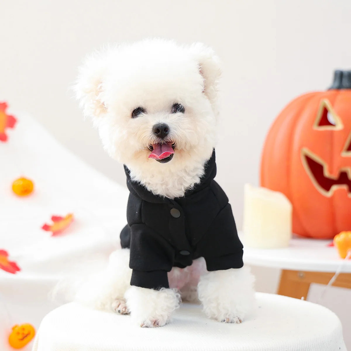 Sweater Quentinho Aranha de Halloween para Cães