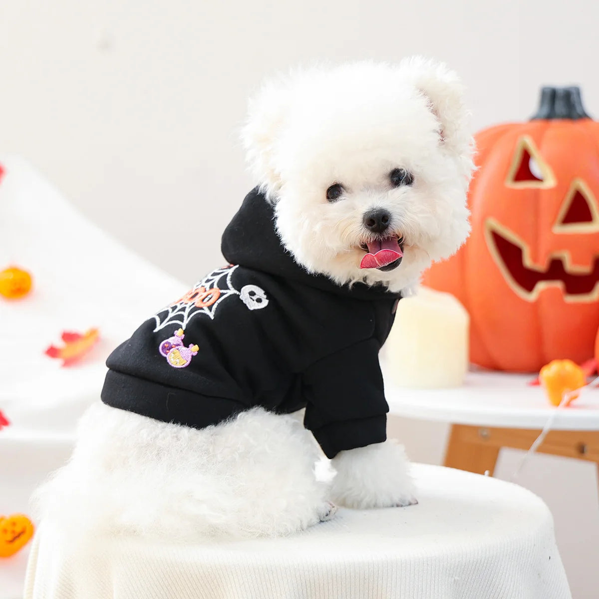 Sweater Quentinho Aranha de Halloween para Cães