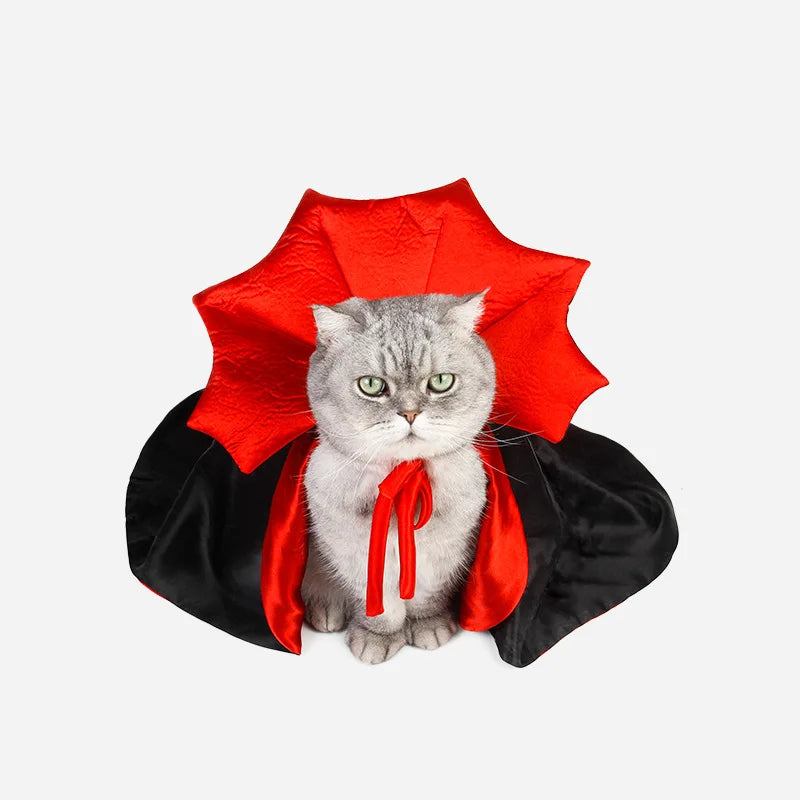 Capa Morceguinho Encantado Para Gatos