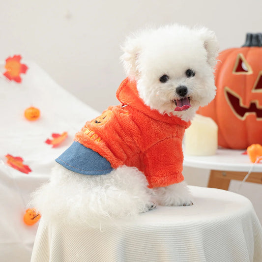 Sweater Quentinho Abóbora de Halloween para Cães