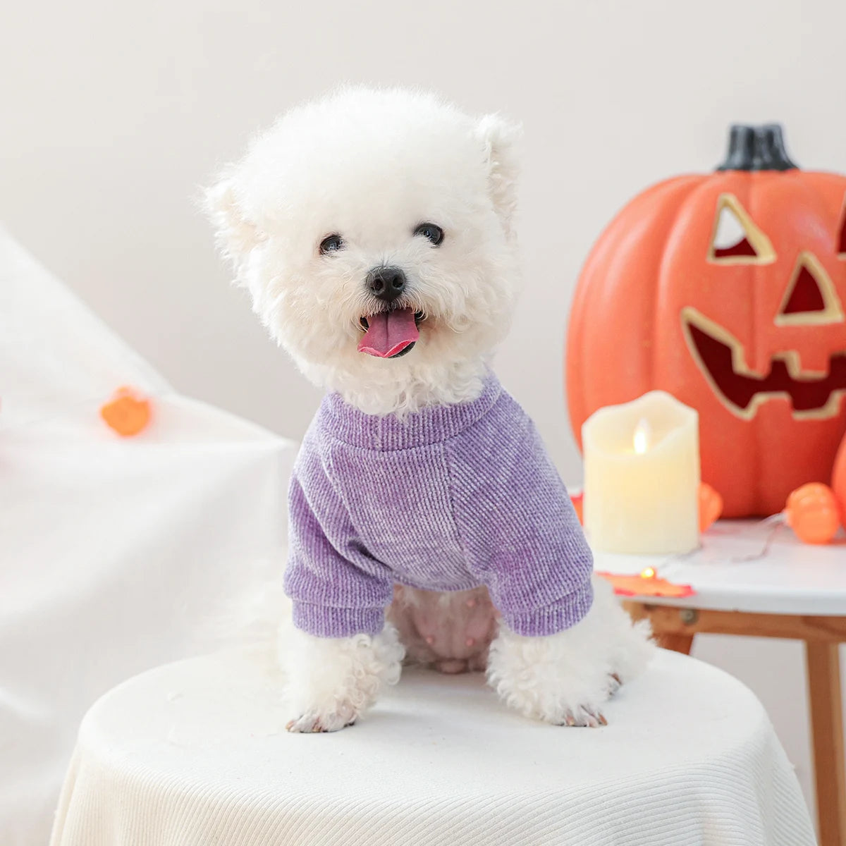 Sweater Boo Lilás de Halloween para Cães e Gatos