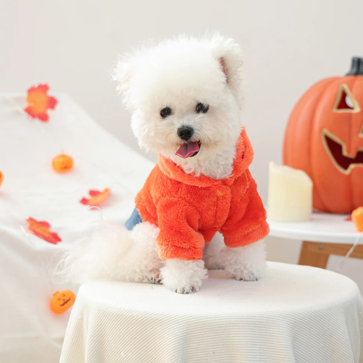 Sweater Quentinho Abóbora de Halloween para Cães