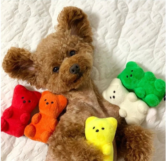 Ursinho Divertido Brinquedo para Cães