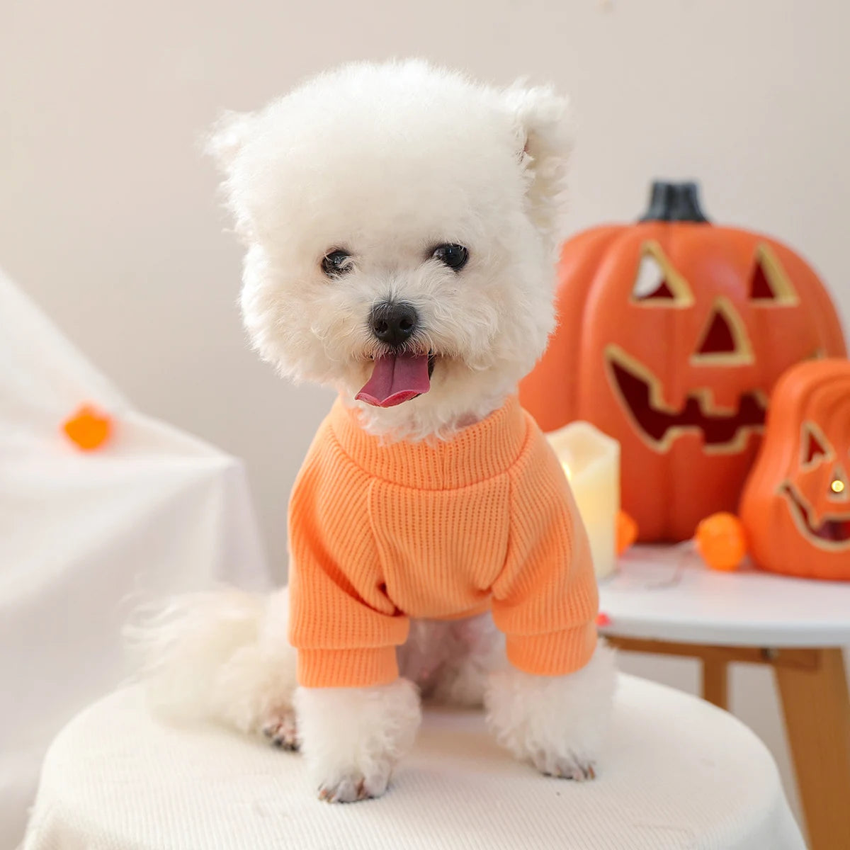 Sweater Boo De Halloween para Pet