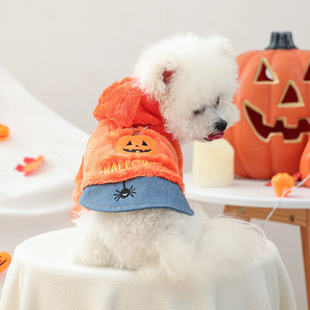 Sweater Quentinho Abóbora de Halloween para Cães