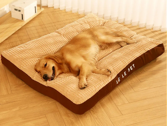 Refúgio Macio para Pet