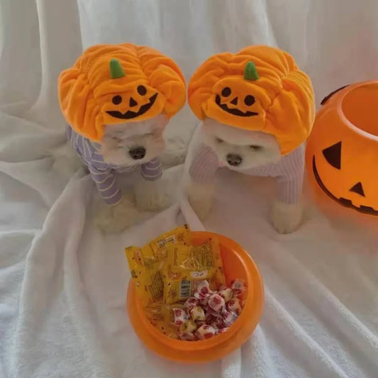 Chapéu Abóbora Fofa Para Pet