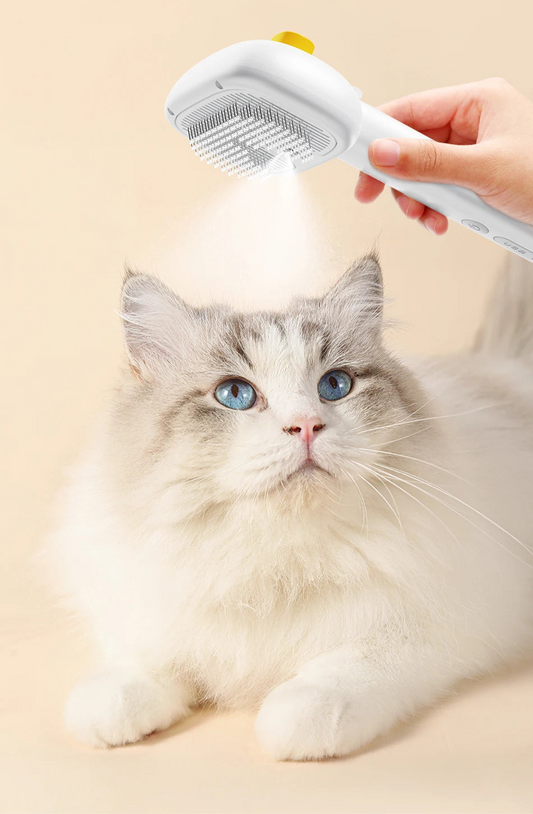 Escova Mimo a Vapor Para Gatos