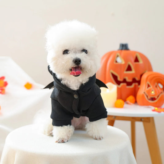 Casaco Morceguinho 3D Halloween de Veludo para Cães e Gatos