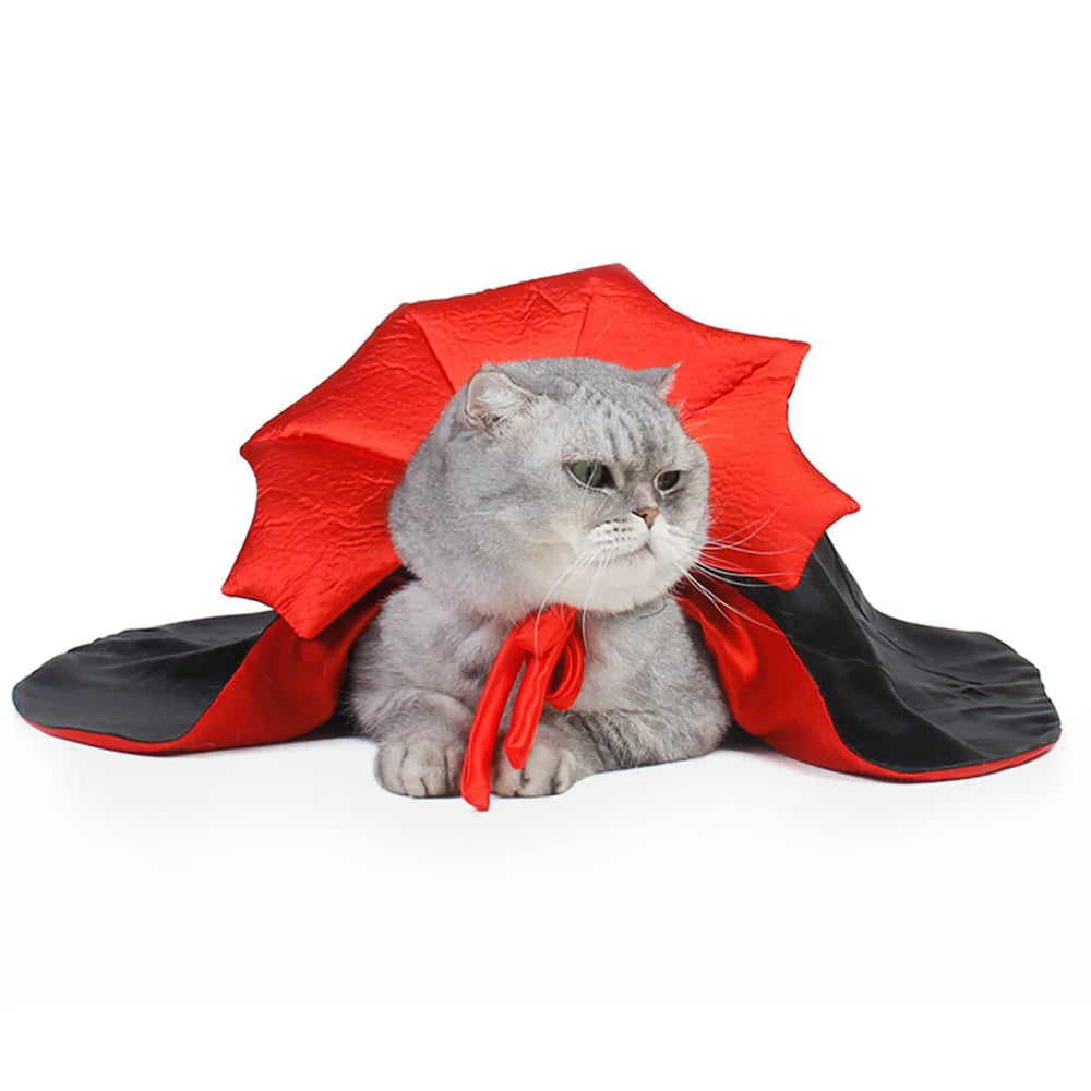 Capa Morceguinho Encantado Para Gatos