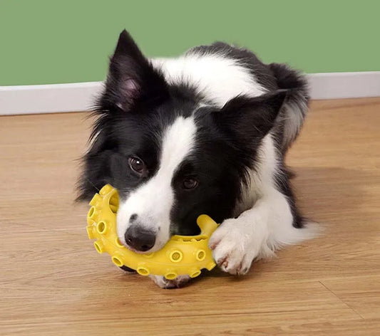 Mordedor Canino Clean