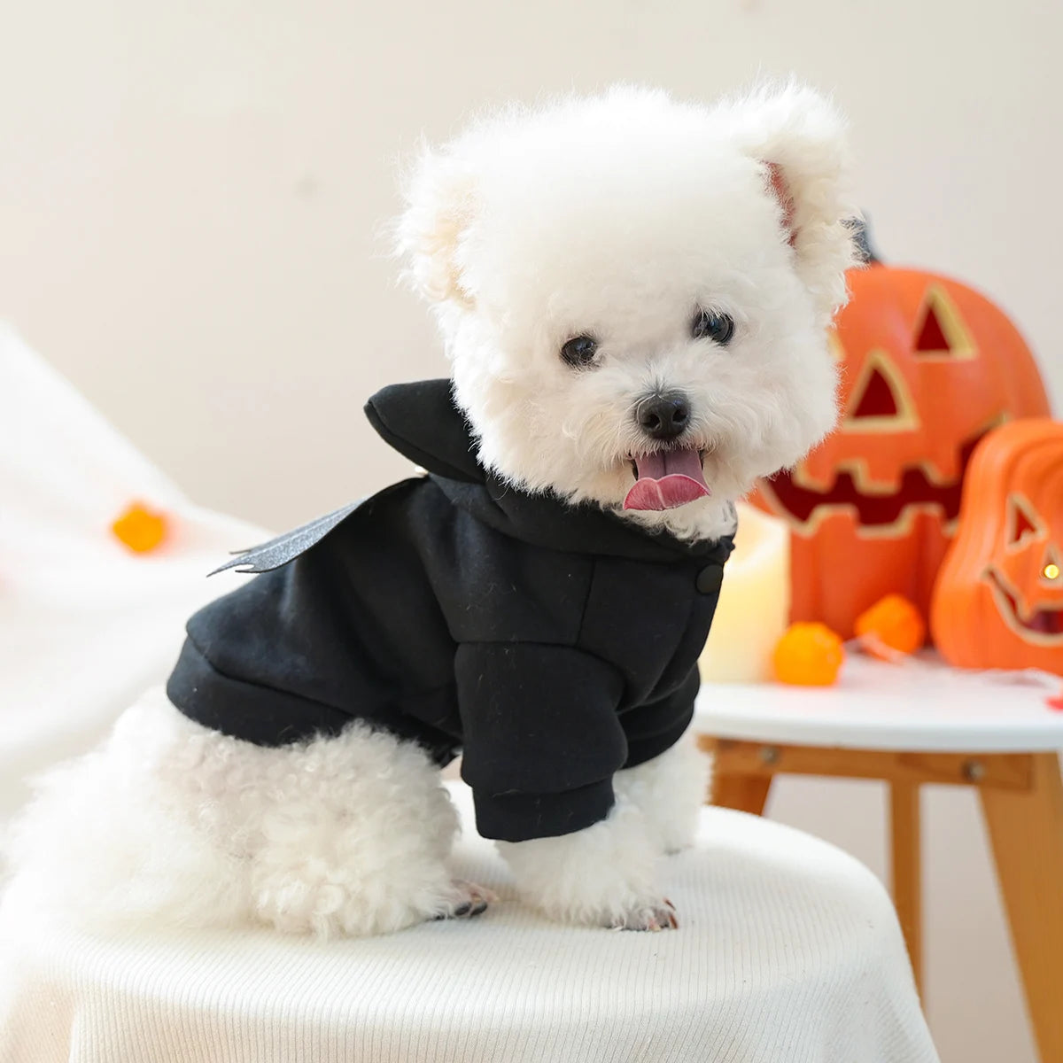 Casaco Morceguinho 3D Halloween de Veludo para Cães e Gatos