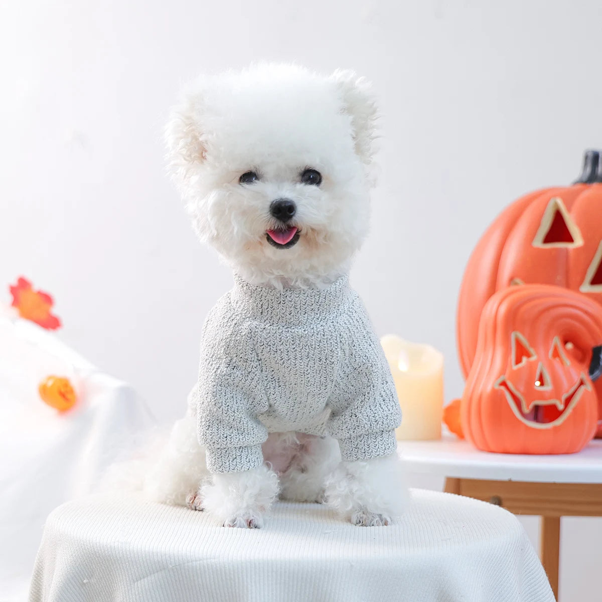Sweater Boo Babe De Halloween Para Cães