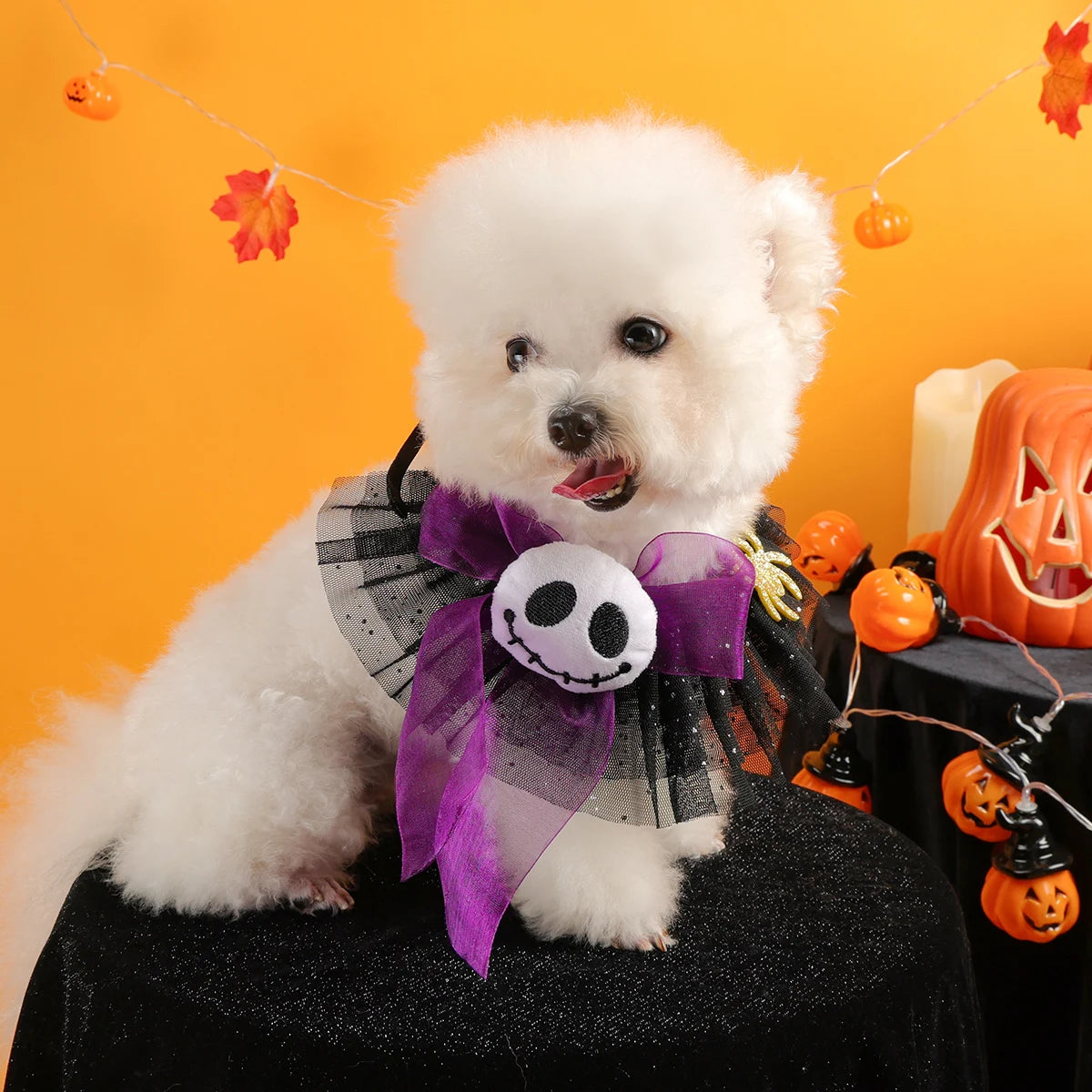 Gola De Halloween Fantasmas e Aranhas Fofas