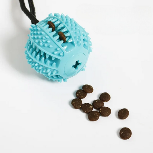 Bola Inteligente Para Cães