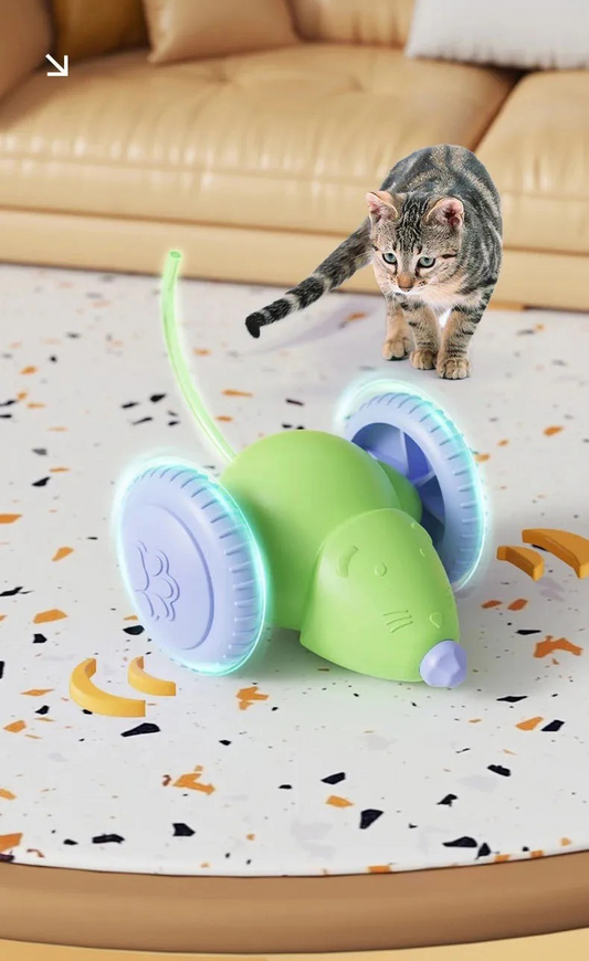 Brinquedo Rato Automático Para Gatos