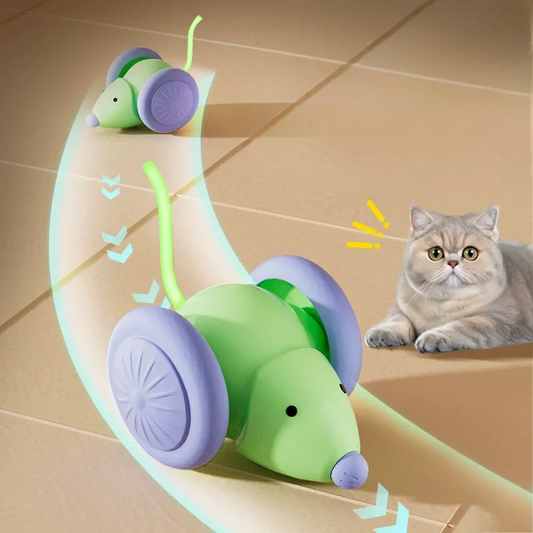Brinquedo Rato Automático Para Gatos