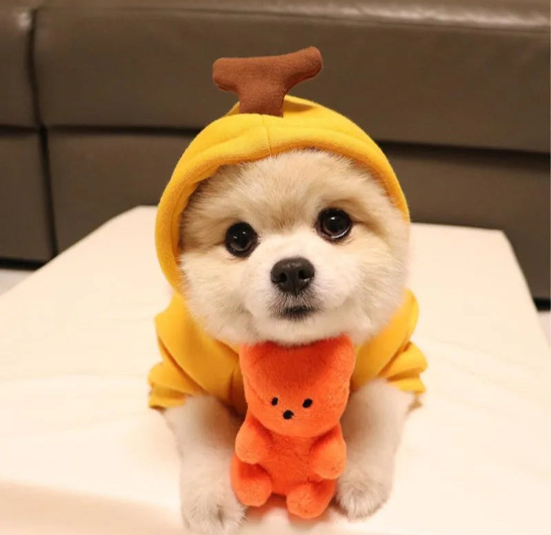 Ursinho Divertido Brinquedo para Cães