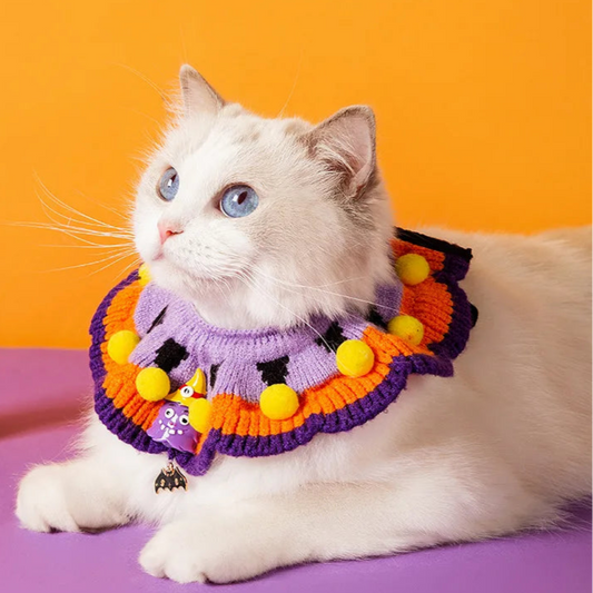 Gola Bruxinha De Halloween para Pets