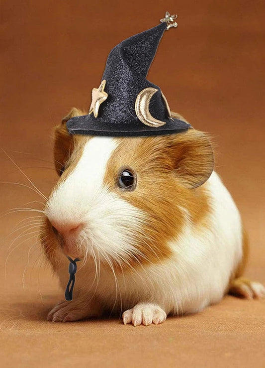 Chapéu Halloween Miniatura para Hamsters