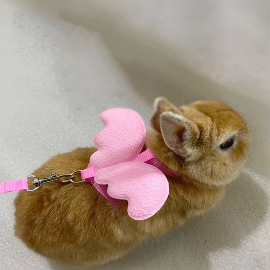 Arnês Angelical Peitoral com Asas para Coelhos