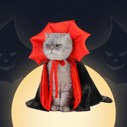 Capa Morceguinho Encantado Para Gatos