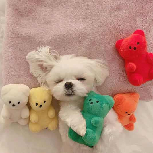 Ursinho Divertido Brinquedo para Cães