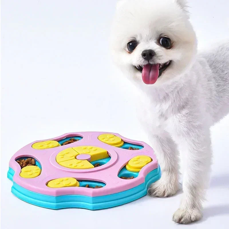 Brinquedo Caça Croquete Para Cães