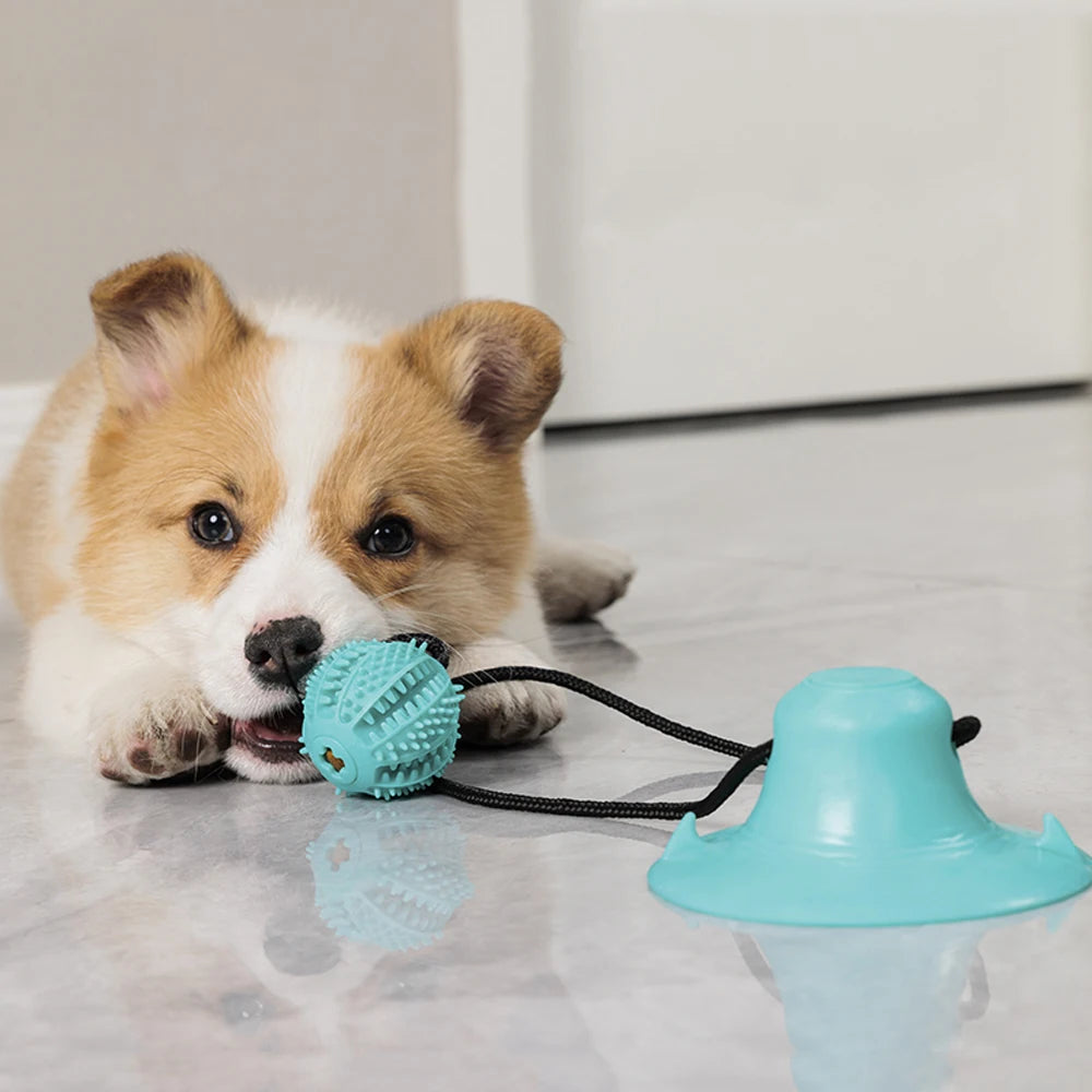 Bola Inteligente Para Cães