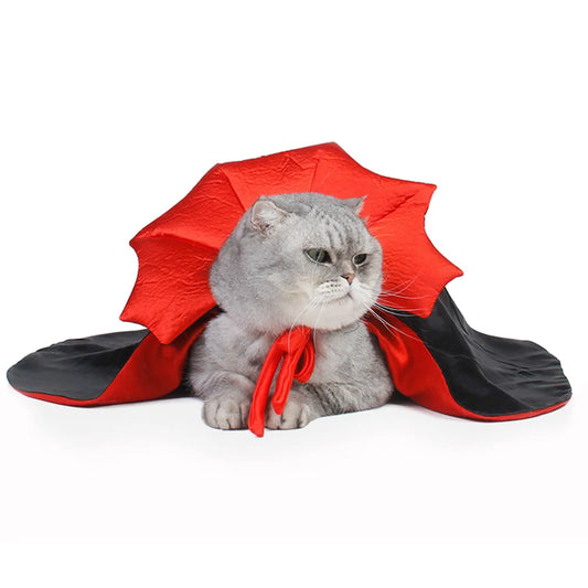 Capa Morceguinho Encantado Para Gatos