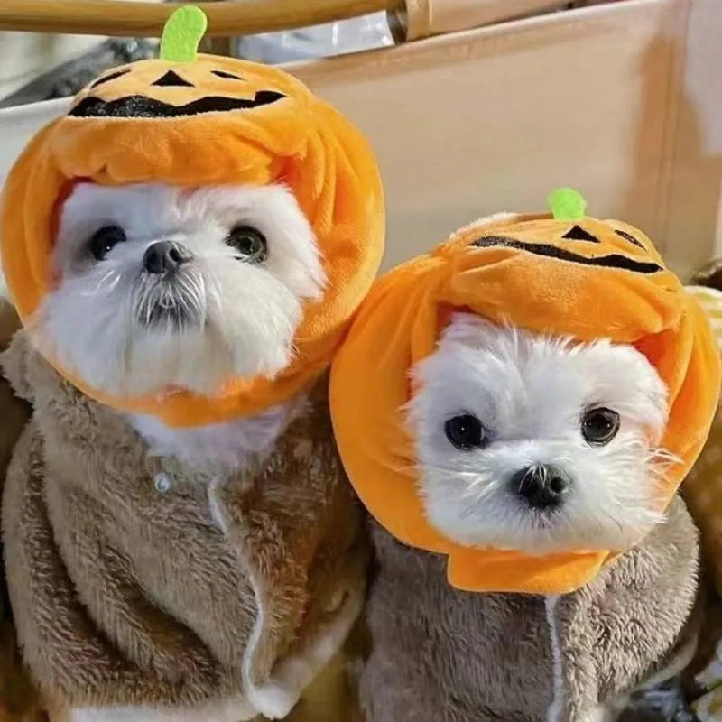 Chapéu Abóbora Fofa Para Pet