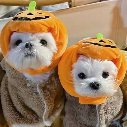 Chapéu Abóbora Fofa Para Pet