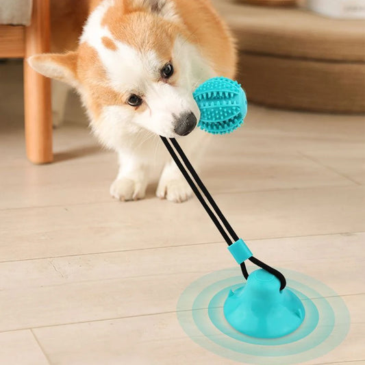 Bola Inteligente Para Cães