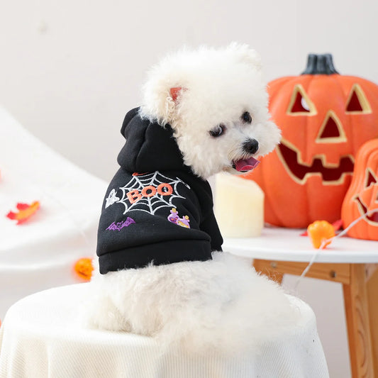 Sweater Quentinho Aranha de Halloween para Cães